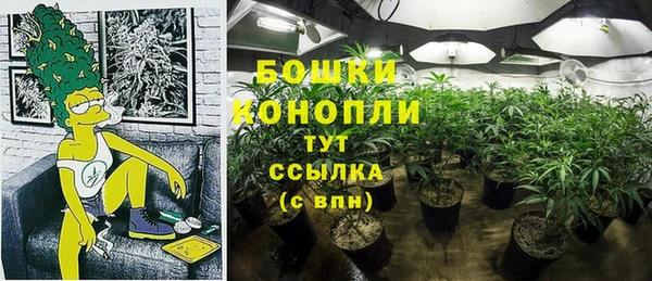 каннабис Алексеевка